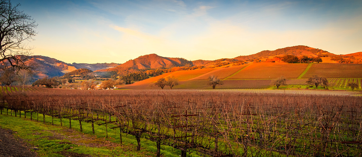 Experience Authentic Hospitality In The Heart Of Novato City
